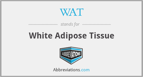 WAT - White Adipose Tissue