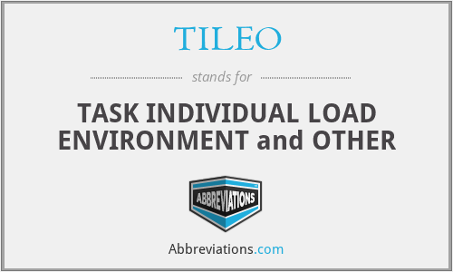 TILEO - TASK INDIVIDUAL LOAD ENVIRONMENT and OTHER