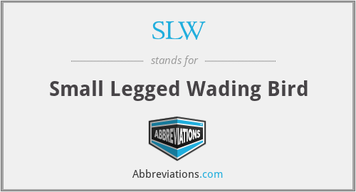 SLW - Small Legged Wading Bird