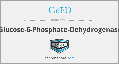 G6PD - Glucose-6-Phosphate-Dehydrogenase