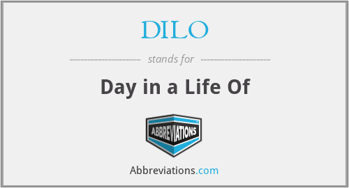 DILO - Day in a Life Of