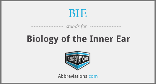 BIE - Biology of the Inner Ear