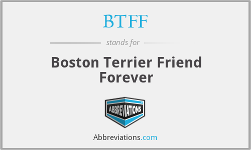 BTFF - Boston Terrier Friend Forever