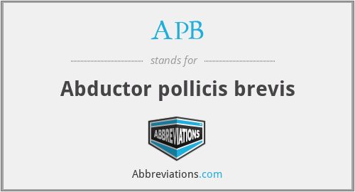 APB - Abductor pollicis brevis