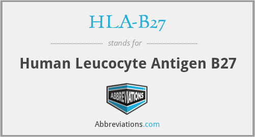 HLA-B27 - Human Leucocyte Antigen B27