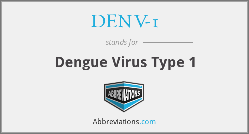 DENV-1 - Dengue Virus Type 1