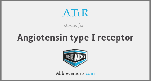 AT1R - Angiotensin type I receptor