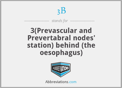 3B - 3(Prevascular and Prevertabral nodes' station) behind (the oesophagus)