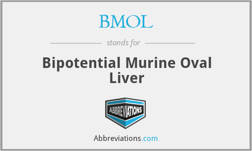 BMOL - Bipotential Murine Oval Liver