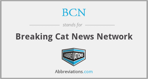 BCN - Breaking Cat News Network