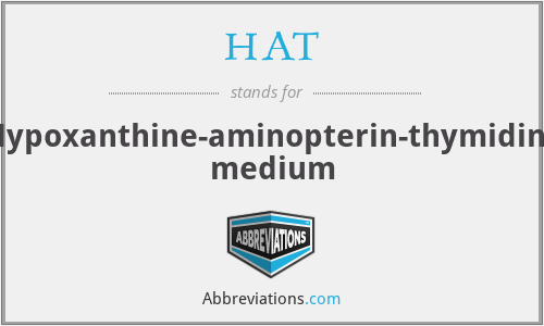 HAT - Hypoxanthine-aminopterin-thymidine medium