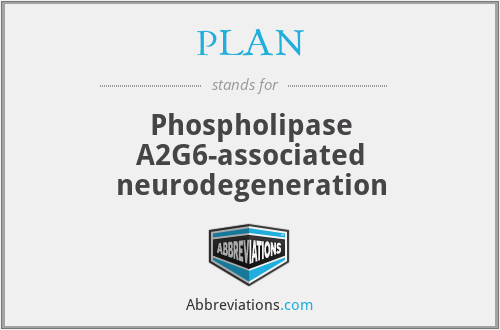 PLAN - Phospholipase A2G6-associated neurodegeneration