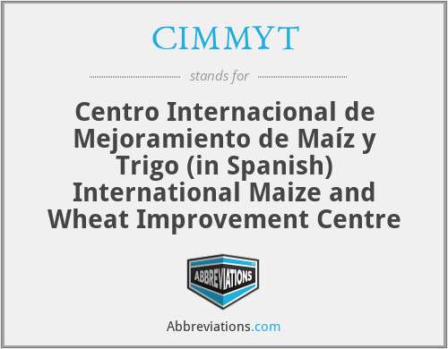 CIMMYT - Centro Internacional de Mejoramiento de Maíz y Trigo (in Spanish) International Maize and Wheat Improvement Centre