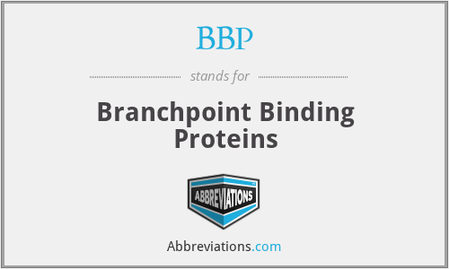 BBP - Branchpoint Binding Proteins