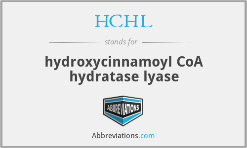 HCHL - hydroxycinnamoyl CoA hydratase lyase