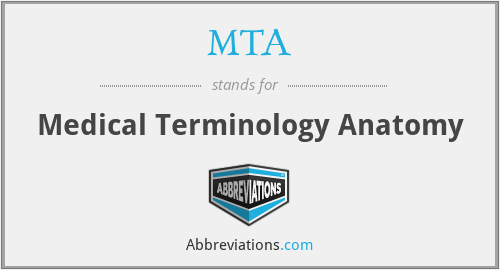 MTA - Medical Terminology Anatomy