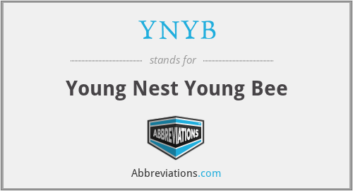 YNYB - Young Nest Young Bee