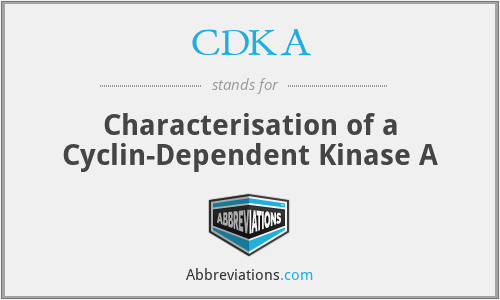 CDKA - Characterisation of a Cyclin-Dependent Kinase A