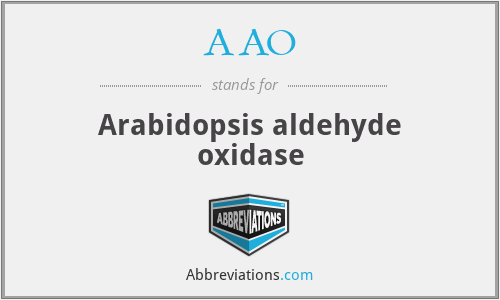 AAO - Arabidopsis aldehyde oxidase