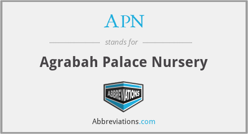 APN - Agrabah Palace Nursery
