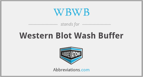 WBWB - Western Blot Wash Buffer