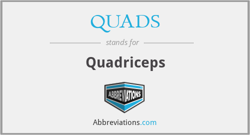 QUADS - Quadriceps