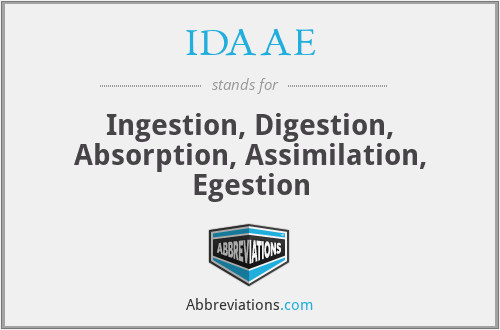 IDAAE - Ingestion, Digestion, Absorption, Assimilation, Egestion