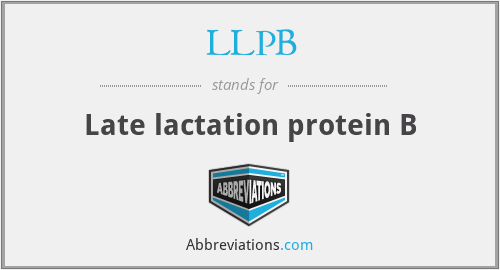 LLPB - Late lactation protein B