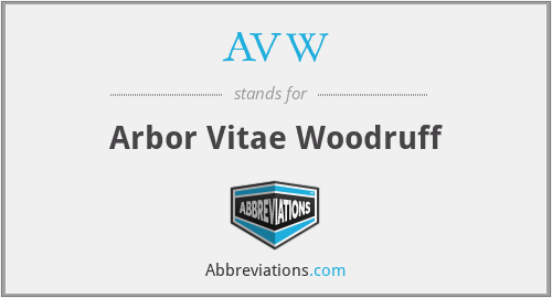 AVW - Arbor Vitae Woodruff
