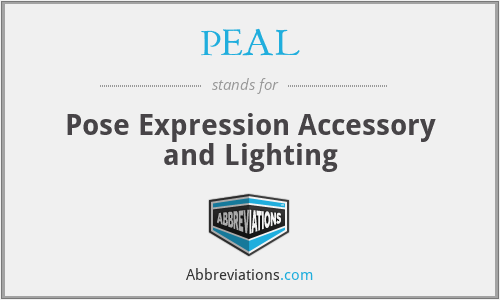 PEAL - Pose Expression Accessory and Lighting