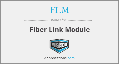 FLM - Fiber Link Module