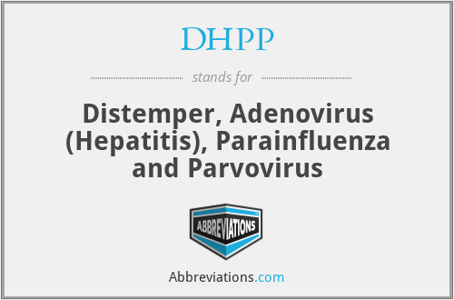 DHPP - Distemper, Adenovirus (Hepatitis), Parainfluenza and Parvovirus