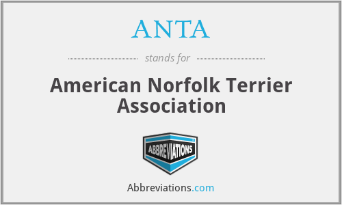 ANTA - American Norfolk Terrier Association