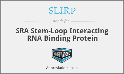 SLIRP - SRA Stem-Loop Interacting RNA Binding Protein