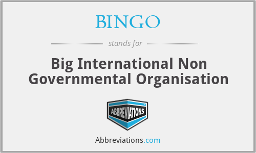 BINGO - Big International Non Governmental Organisation