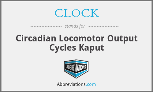 CLOCK - Circadian Locomotor Output Cycles Kaput