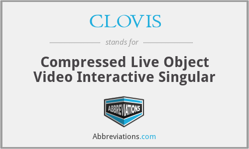 CLOVIS - Compressed Live Object Video Interactive Singular