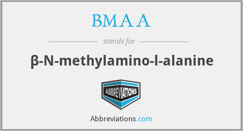 BMAA - β-N-methylamino-l-alanine