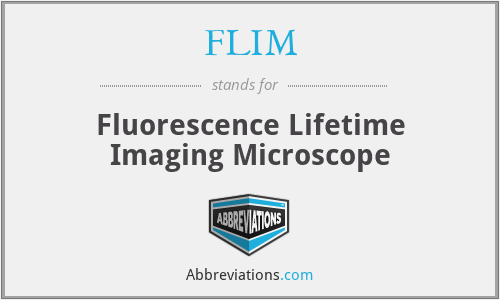 FLIM - Fluorescence Lifetime Imaging Microscope