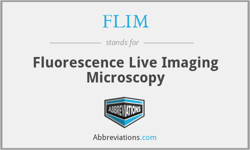 FLIM - Fluorescence Live Imaging Microscopy