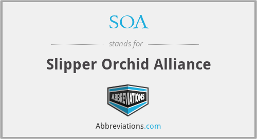 SOA - Slipper Orchid Alliance