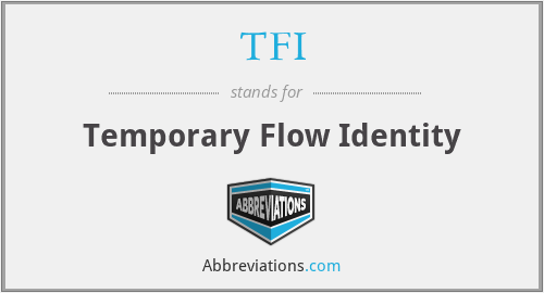 TFI - Temporary Flow Identity