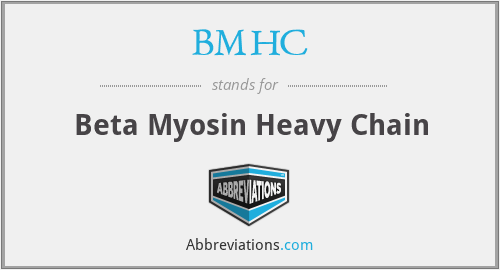 BMHC - Beta Myosin Heavy Chain