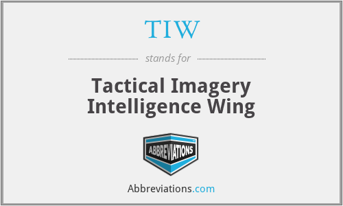 TIW - Tactical Imagery Intelligence Wing