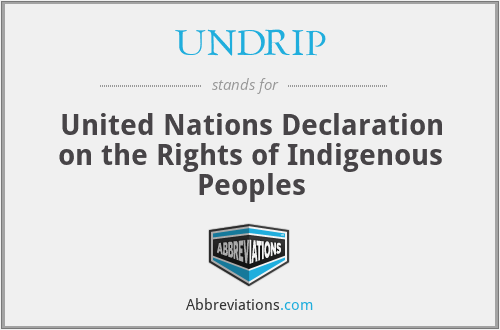 UNDRIP - United Nations Declaration on the Rights of Indigenous Peoples