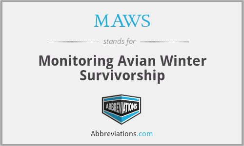 MAWS - Monitoring Avian Winter Survivorship