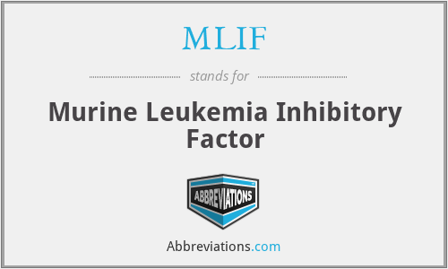 MLIF - Murine Leukemia Inhibitory Factor