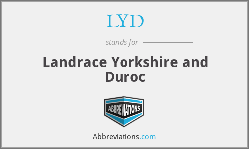 LYD - Landrace Yorkshire and Duroc