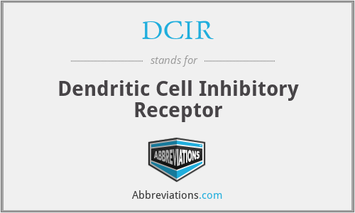DCIR - Dendritic Cell Inhibitory Receptor