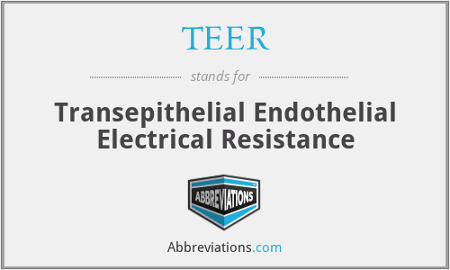 TEER - Transepithelial Endothelial Electrical Resistance